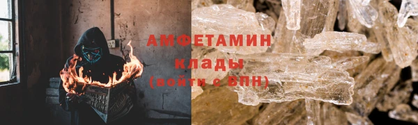 сатива Волоколамск