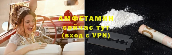 сатива Волоколамск