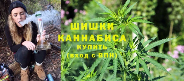 сатива Волоколамск