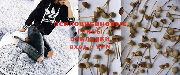 дурь Володарск