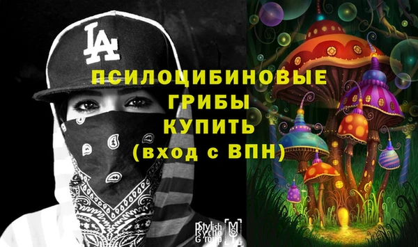 спиды Волосово