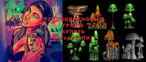 сатива Волоколамск