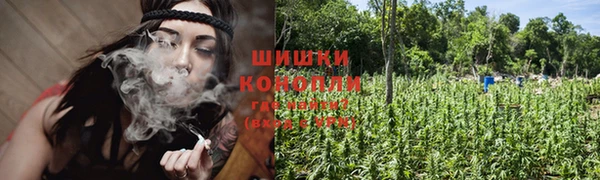 спиды Волосово