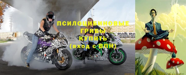 спиды Волосово