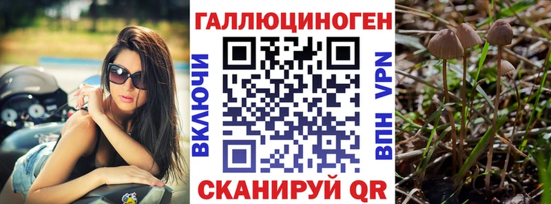где можно купить наркотик Вуктыл Галлюциногенные грибы Psilocybine cubensis